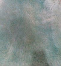 Круглый овчина двухшкурная BLUE 02SS 8006
